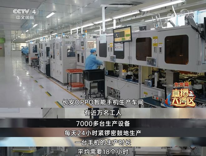 從“世界工廠”到“科創高地” 信息科技企業如何驅動大灣區發展