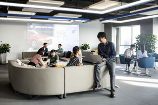 寶馬數(shù)字化轉(zhuǎn)型再下一城 梅曉群執(zhí)掌領(lǐng)悅數(shù)字掛牌，深耕信息科技領(lǐng)域技術(shù)開發(fā)